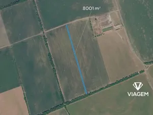 Prodej pole, Nivnice, 8001 m2