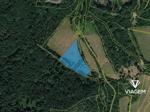 Prodej pole, Prackovice nad Labem, 9024 m2