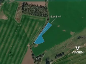 Prodej pole, Živanice, 6248 m2