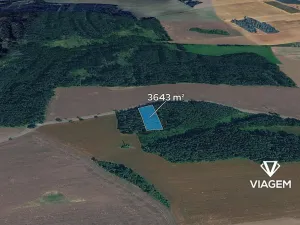 Prodej lesa, Hradiště, 3643 m2
