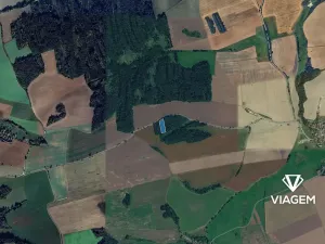 Prodej lesa, Hradiště, 3643 m2