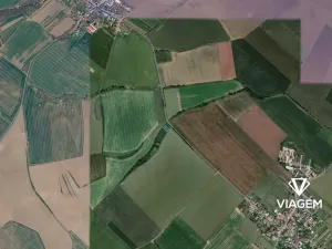 Prodej lesa, Jarohněvice, 1000 m2