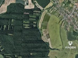 Prodej lesa, Lhota, 1390 m2