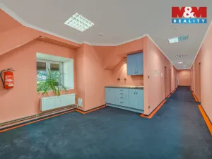 Prodej výrobních prostor, Horka I - Svobodná Ves, 76556 m2