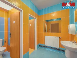 Prodej výrobních prostor, Horka I - Svobodná Ves, 76556 m2