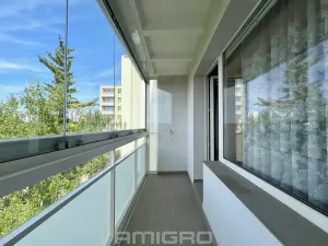 Prodej bytu 2+kk, Brno, Labská, 45 m2