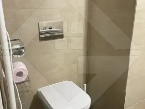 Pronájem bytu 1+kk, Praha - Žižkov, Olgy Havlové, 37 m2