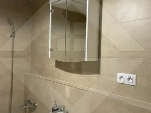 Pronájem bytu 1+kk, Praha - Žižkov, Olgy Havlové, 37 m2