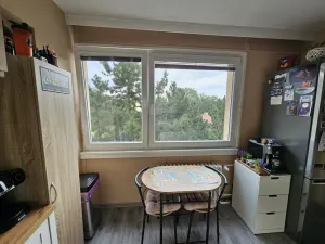 Prodej bytu 2+1, Třebíč - Borovina, Řípovská, 54 m2