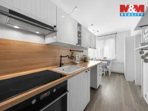 Prodej bytu 2+1, Ústí nad Labem - Krásné Březno, U Pivovarské zahrady, 65 m2