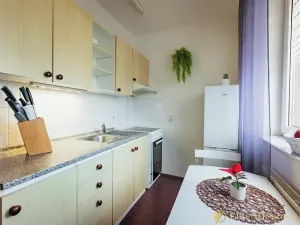 Prodej bytu 2+1, Hlinsko, Rataje, 45 m2