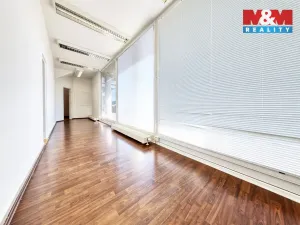 Prodej kanceláře, Písek - Pražské Předměstí, Čechova, 53 m2