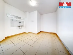 Prodej obchodního prostoru, Písek - Pražské Předměstí, Čechova, 53 m2