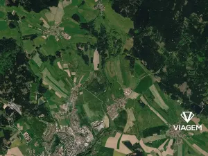 Prodej lesa, Nové Město na Moravě, 1693 m2