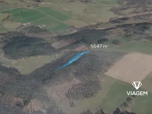 Prodej lesa, Řečice, 5647 m2