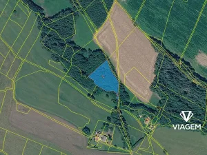 Prodej lesa, Pustá Kamenice, 5416 m2