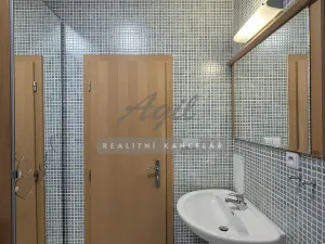 Pronájem bytu 1+kk, Brno, 56 m2