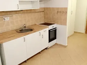 Pronájem bytu 1+1, Praha - Vinohrady, Řipská, 46 m2