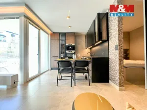 Prodej bytu 2+kk, Ostrava - Moravská Ostrava, F. X. Riepla, 65 m2