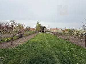 Prodej rodinného domu, Šakvice, Hlavní, 140 m2