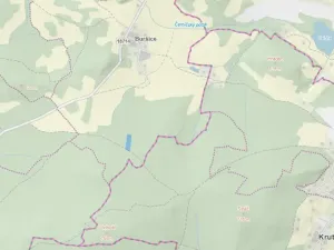 Prodej lesa, Kolinec - Buršice, 5195 m2