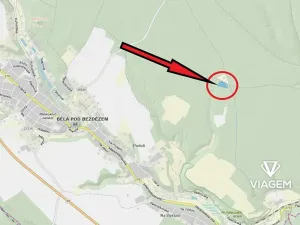 Prodej podílu lesa, Bělá pod Bezdězem, 1634 m2