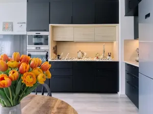 Prodej bytu 2+kk, Praha - Hloubětín, Saarinenova, 52 m2