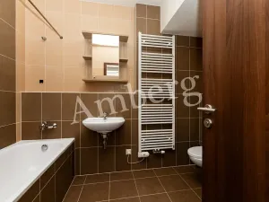 Prodej bytu 2+kk, Praha - Žižkov, Na Vackově, 53 m2