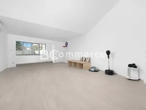 Prodej rodinného domu, Brno, Chaloupky, 240 m2