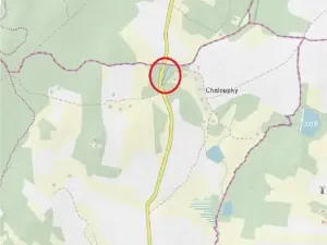 Prodej lesa, Nový Rychnov, 5967 m2
