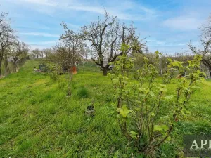 Prodej rodinného domu, Boršice u Blatnice, 105 m2