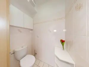 Prodej bytu 3+kk, Opatovice nad Labem, Smetanova, 55 m2