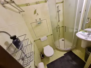 Pronájem bytu 1+kk, Brno, Vídeňská, 27 m2