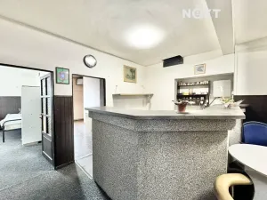 Prodej vily, Jiřetín pod Jedlovou, Tolštýnská, 600 m2