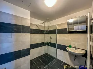 Pronájem bytu 1+kk, Mladá Boleslav, 17. listopadu, 45 m2
