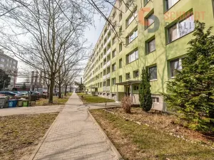 Pronájem bytu 2+1, Břeclav, Na Valtické, 44 m2
