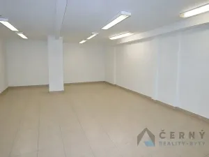 Prodej obchodního prostoru, Liberec, Liliová, 266 m2