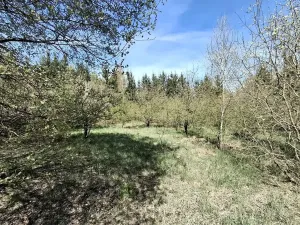 Prodej komerčního pozemku, Dalovice, 18373 m2