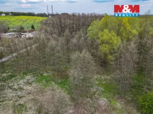 Prodej pole, Dětmarovice, 4130 m2