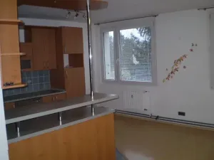 Pronájem bytu 3+kk, Pardubice, Gagarinova, 78 m2