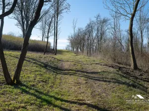 Prodej pozemku pro bydlení, Kopidlno, Na Vinici, 8371 m2