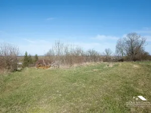 Prodej pozemku pro bydlení, Kopidlno, Na Vinici, 8371 m2