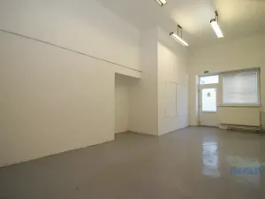 Pronájem skladu, Brandýs nad Labem-Stará Boleslav, Pražská, 73 m2