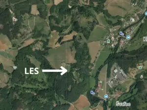 Prodej lesa, Koroužné, 4497 m2