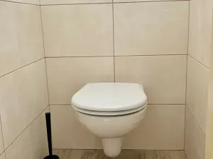 Pronájem bytu 2+kk, Dobřenice, 46 m2