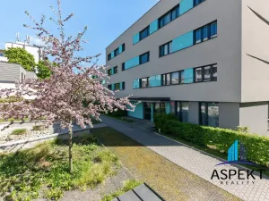 Pronájem bytu 2+kk, Praha - Holešovice, Dělnická, 52 m2
