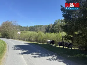 Prodej rodinného domu, Město Albrechtice, Osoblažská, 280 m2