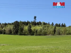 Prodej rodinného domu, Město Albrechtice, Osoblažská, 220 m2