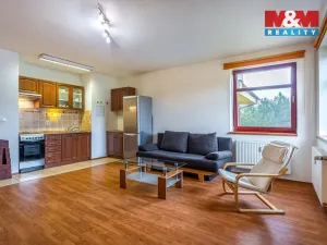 Pronájem bytu 1+kk, Kralupy nad Vltavou, Přemyslova, 38 m2