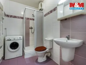 Pronájem bytu 1+kk, Kralupy nad Vltavou, Přemyslova, 38 m2